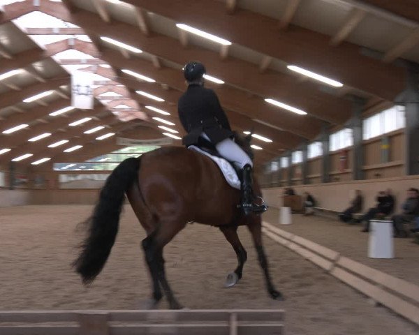 Reitturnier Ranzenbach 2023