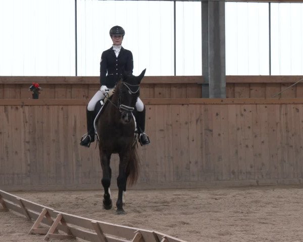 Reitturnier Ranzenbach 2023