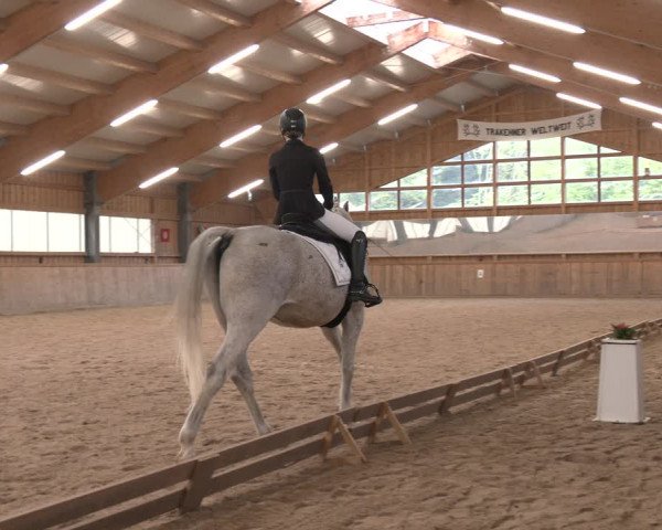 Reitturnier Ranzenbach 2023