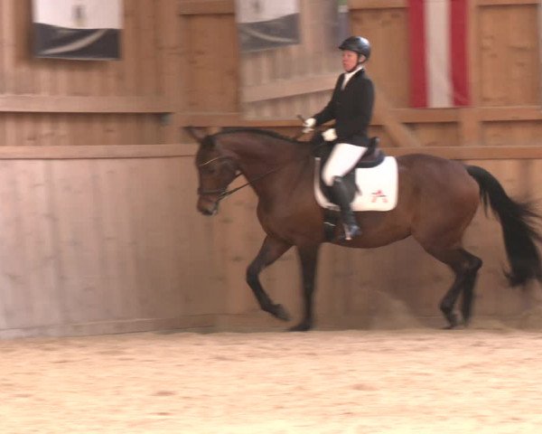 Reitturnier Ranzenbach 2023
