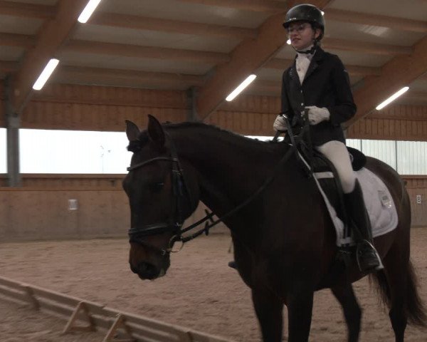 Reitturnier Ranzenbach 2023