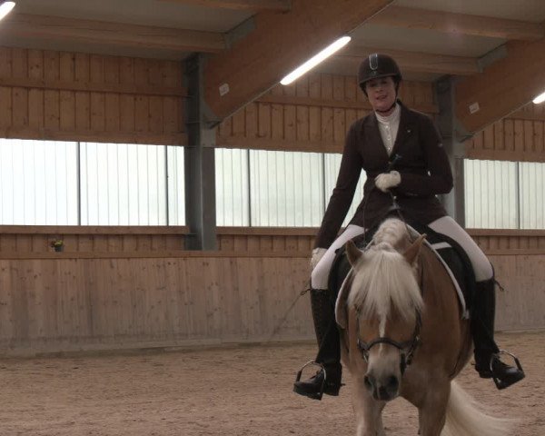 Reitturnier Ranzenbach 2023