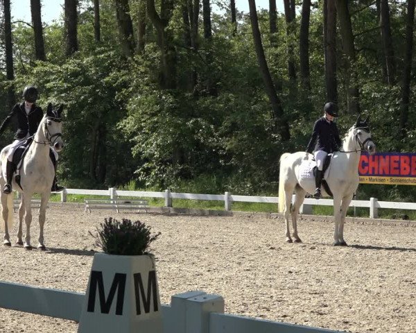 Reitturnier Meppen 2023