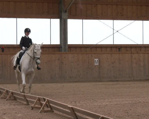 Reitturnier Ranzenbach 2023