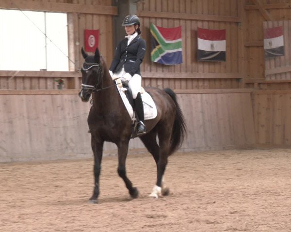 Reitturnier Ranzenbach 2023