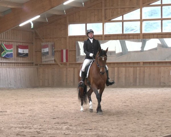 Reitturnier Ranzenbach 2023