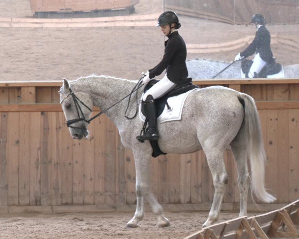 Reitturnier Ranzenbach 2023