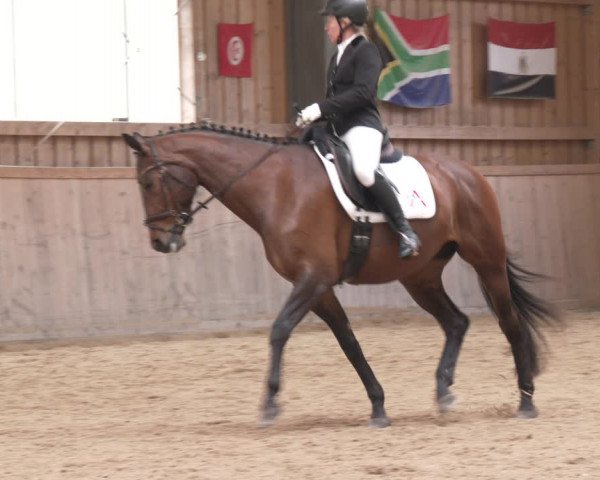 Reitturnier Ranzenbach 2023