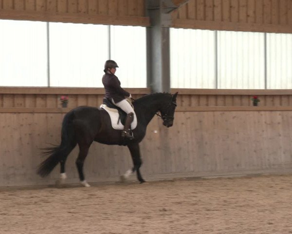 Reitturnier Ranzenbach 2023