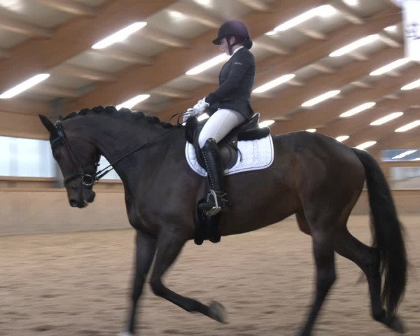 Reitturnier Ranzenbach 2023