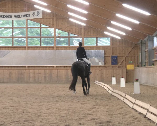 Reitturnier Ranzenbach 2023
