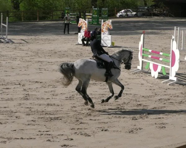 Reitturnier Alvern 2023