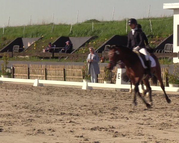 Reitturnier Schülp / Rendsburg 2023