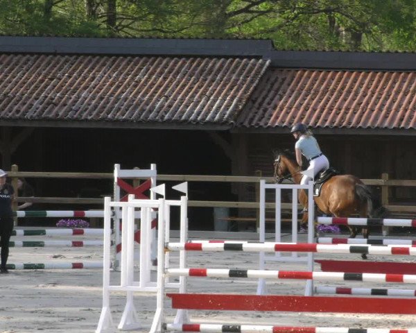 Reitturnier Alvern 2023