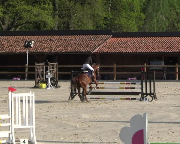 Reitturnier Alvern 2023