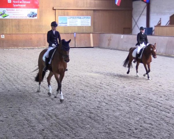 Reitturnier Risum-Lindholm 2023