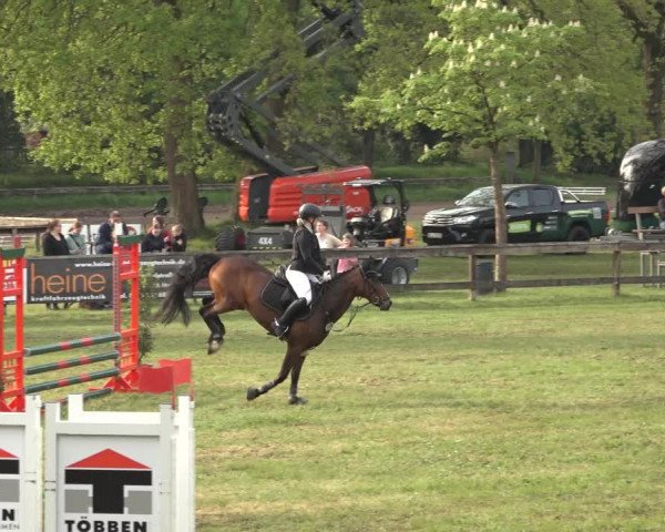 Reitturnier Meppen 2023