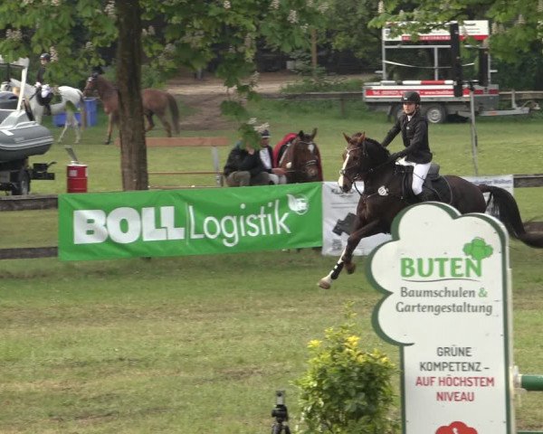 Reitturnier Meppen 2023
