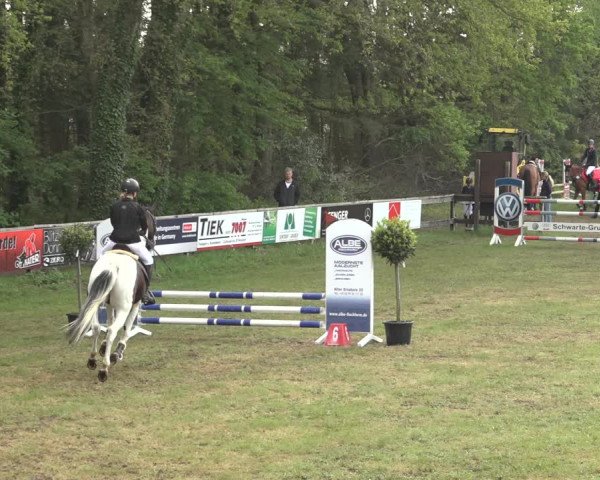 Reitturnier Meppen 2023