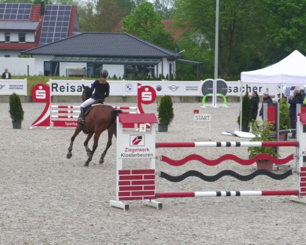 Reitturnier Babenhausen 2023