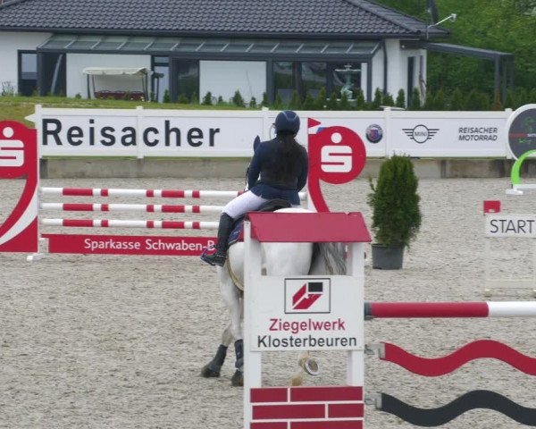 Reitturnier Babenhausen 2023