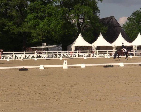 Reitturnier Münster-Angelmodde 2023