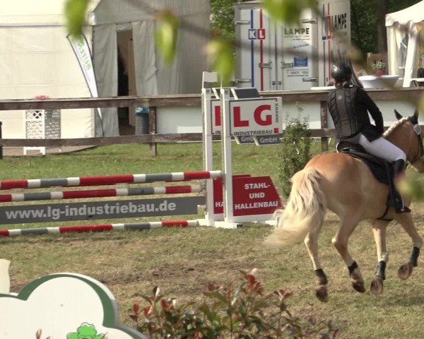 Reitturnier Meppen 2023