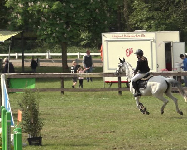 Reitturnier Meppen 2023
