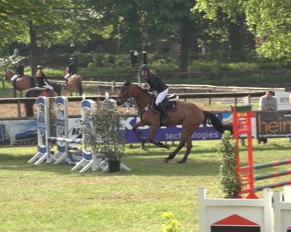Reitturnier Meppen 2023