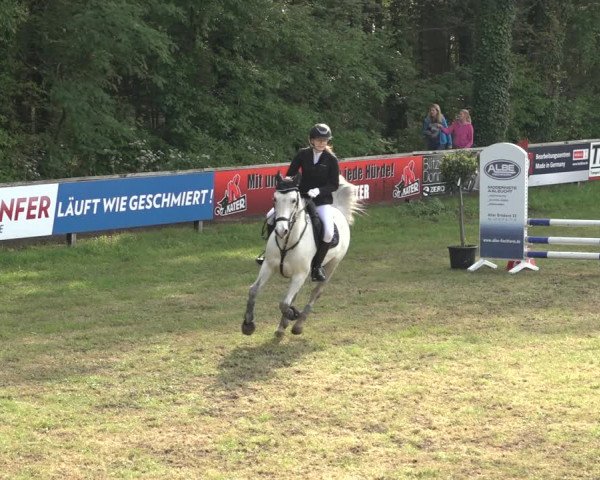 Reitturnier Meppen 2023