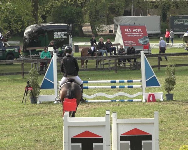 Reitturnier Meppen 2023