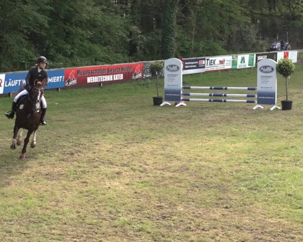 Reitturnier Meppen 2023