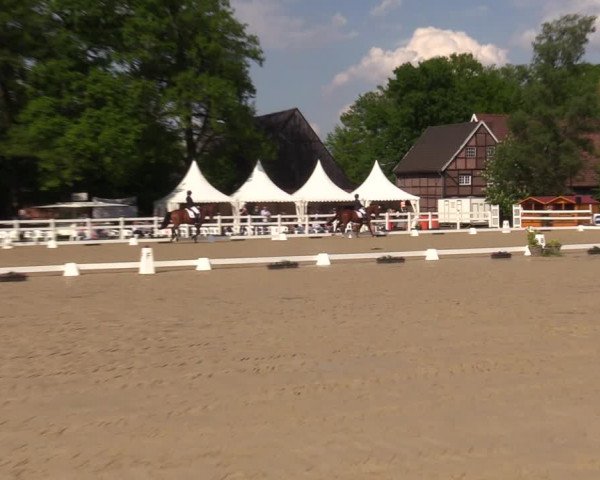 Reitturnier Münster-Angelmodde 2023