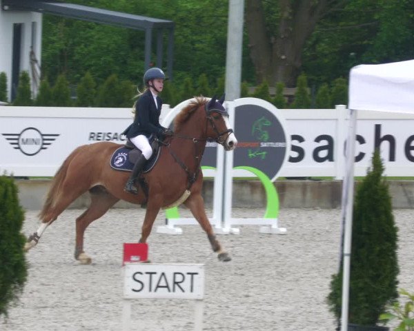 Reitturnier Babenhausen 2023