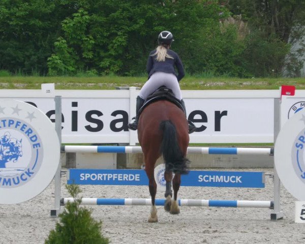 Reitturnier Babenhausen 2023