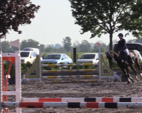 Reitturnier Lentzke - Reitanlage Krehl 2023