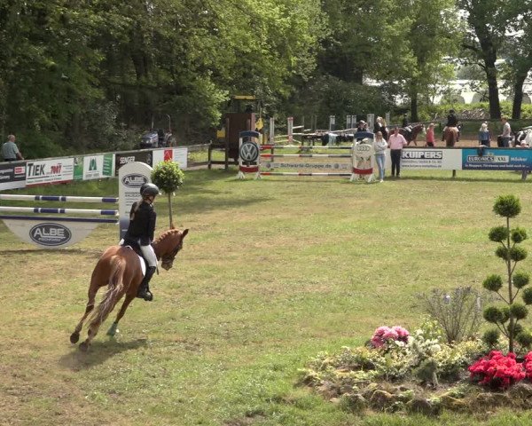 Reitturnier Meppen 2023
