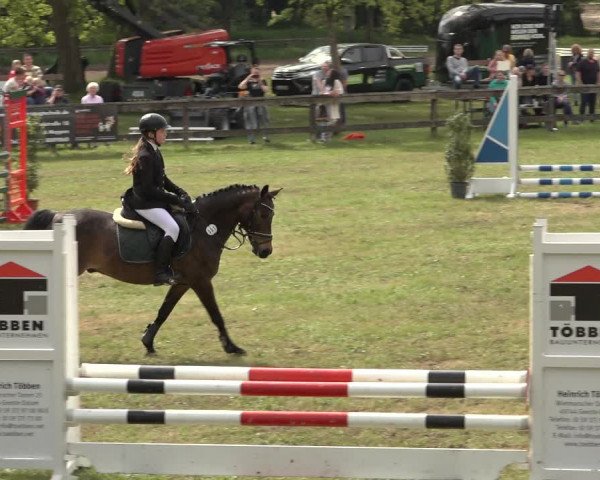 Reitturnier Meppen 2023