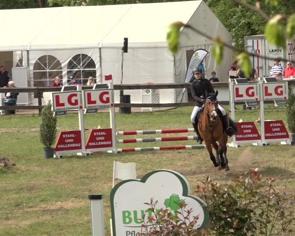 Reitturnier Meppen 2023