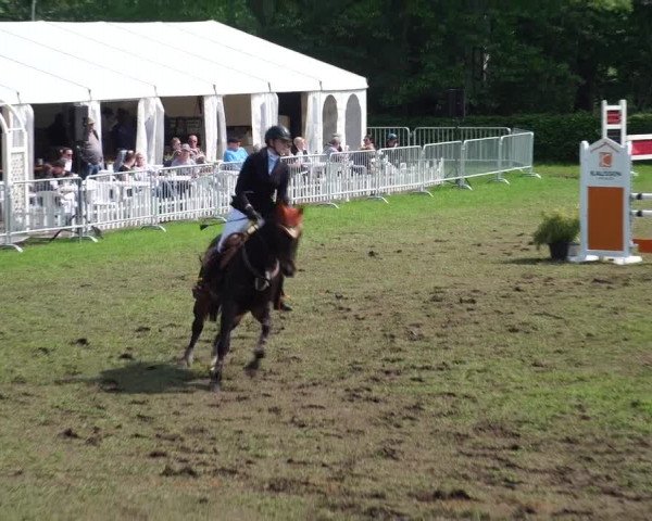 Reitturnier Jülich 2023