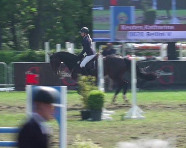 Reitturnier Jülich 2023