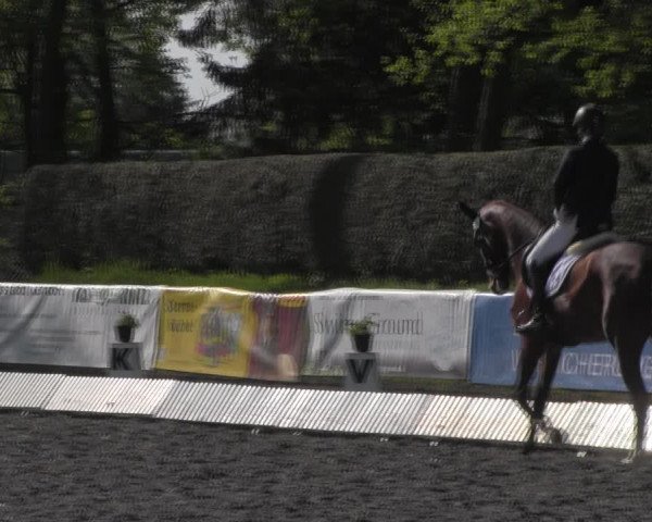 Reitturnier Röhrsdorf/ Chemnitz 2023