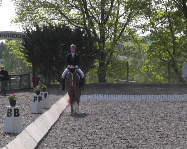 Reitturnier Röhrsdorf/ Chemnitz 2023