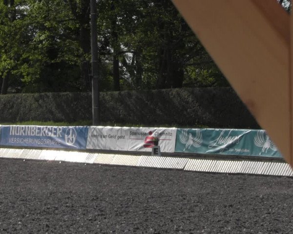 Reitturnier Röhrsdorf/ Chemnitz 2023