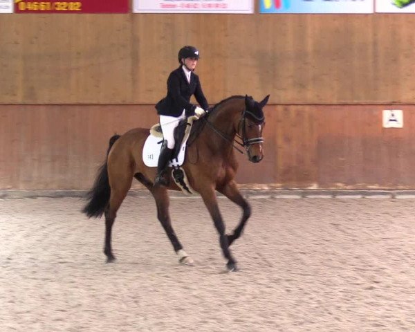 Reitturnier Risum-Lindholm 2023