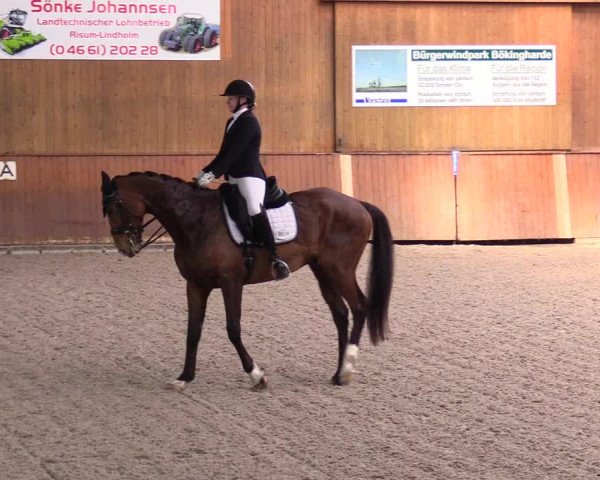 Reitturnier Risum-Lindholm 2023