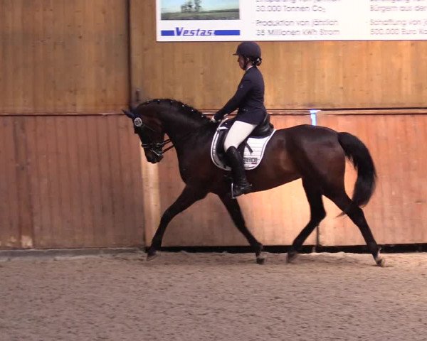 Reitturnier Risum-Lindholm 2023