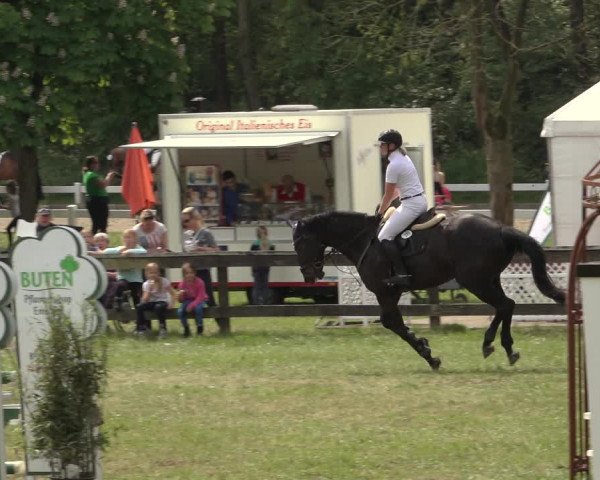 Reitturnier Meppen 2023