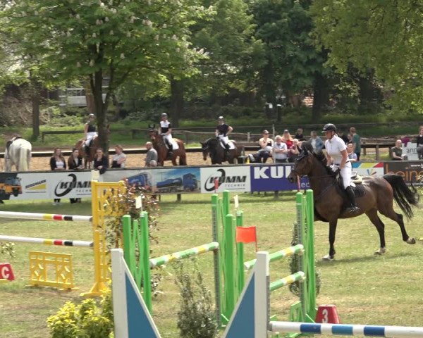 Reitturnier Meppen 2023