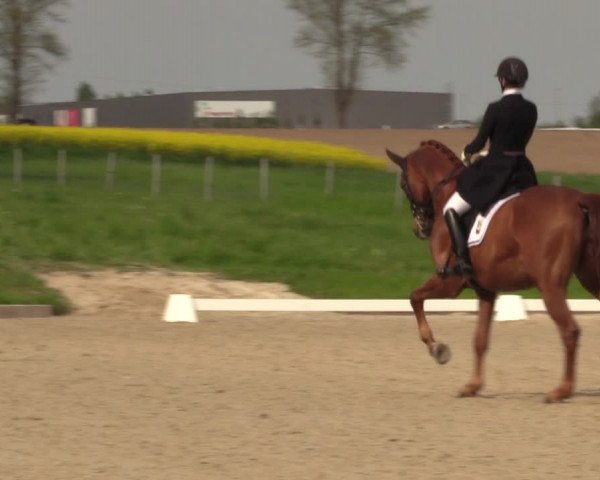 Reitturnier Röhrsdorf/ Chemnitz 2023